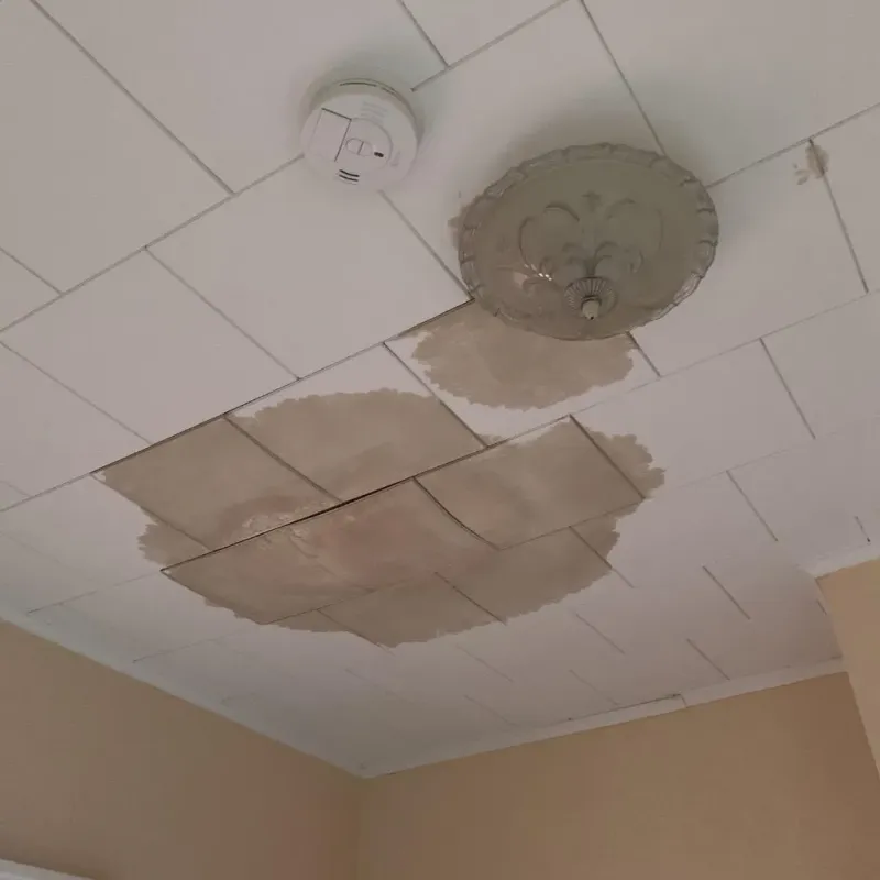 Ceiling Water Damage Repair in Lake Brownwood, TX